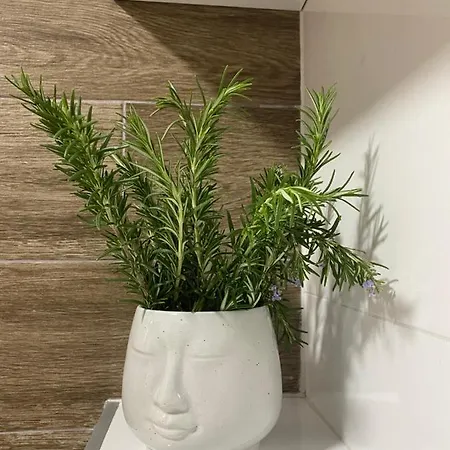 Apartmani Arandjelovac * Arandjelovac